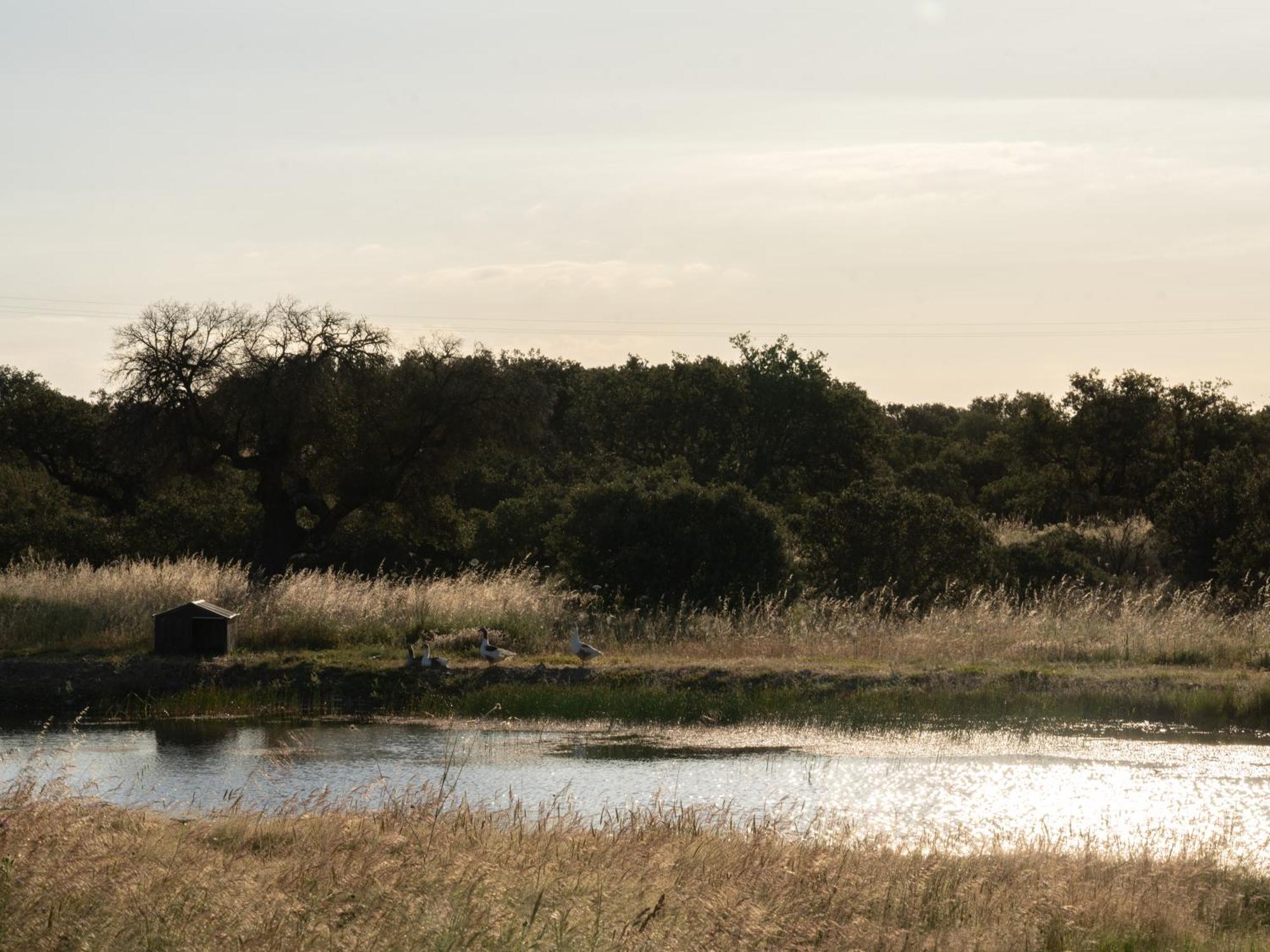 Change The World - Herdade Monte Do Peral Montes Juntos Exterior foto